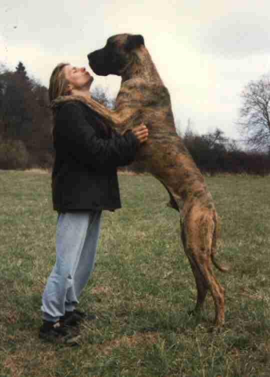 doga
